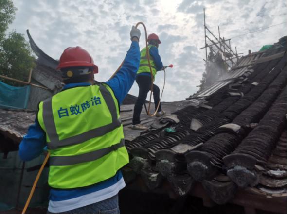 守护文物古建筑+防治白蚁在行动.jpg 守护文物古建筑+防治白蚁在行动.jpg