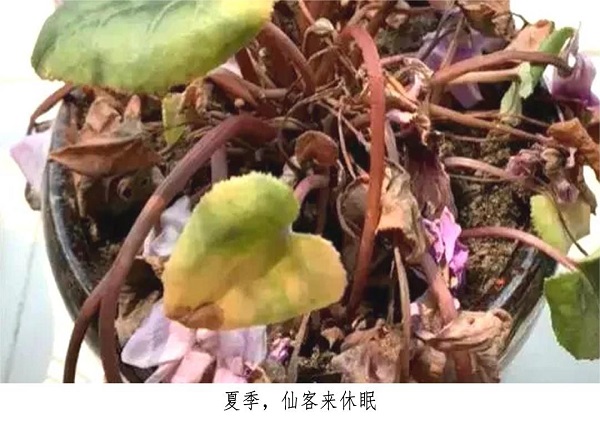 5c52fb7d4165806dafb1d736765f681.jpg 5c52fb7d4165806dafb1d736765f681.jpg