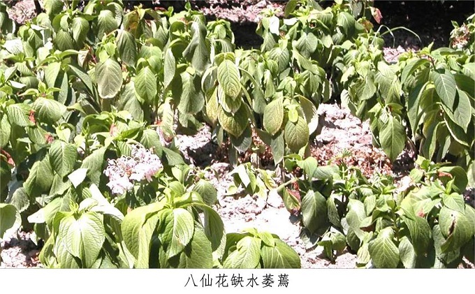 3df61f44e824a24e3c971e5ebd4fa0e.jpg 3df61f44e824a24e3c971e5ebd4fa0e.jpg