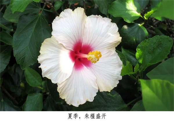 935e9b3b29f9bbbc2af9eb97df3b158.jpg 935e9b3b29f9bbbc2af9eb97df3b158.jpg